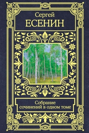 Cover: Sobranie sochinenij v odnom tome