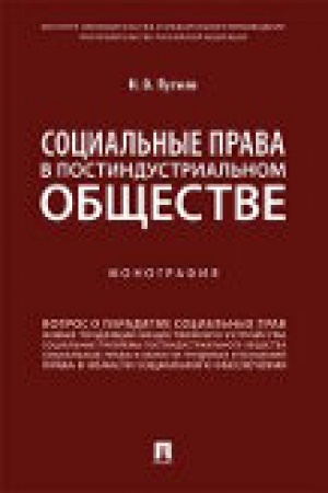 Cover: Social′nye prava v postindustrial′nom obshhestve. Monografiya