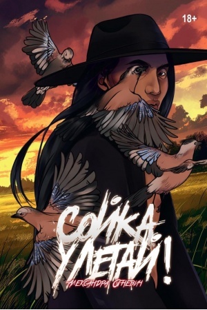 Buchcover: Sojka, uletaj!