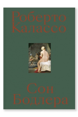 Buchcover: Son Bodlera