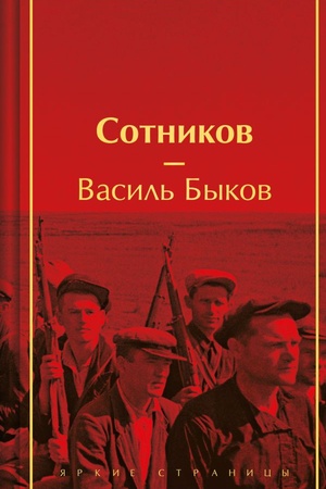 Обложка: Сотников