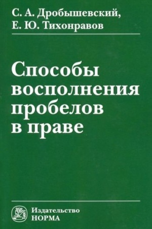 Cover: SPOSOBY VOSPOLNENIYA PROBELOV V PRAVE