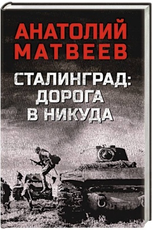 Buchcover: Stalingrad: doroga v nikuda