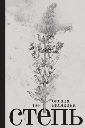 Buchcover: Step′: Roman