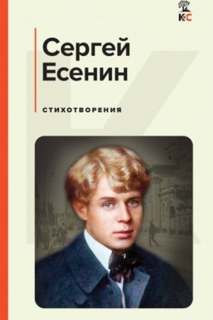 Buchcover: Stichotvorenija