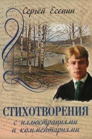 Buchcover: Stichotvorenija s illjustracijami i kommentarijami