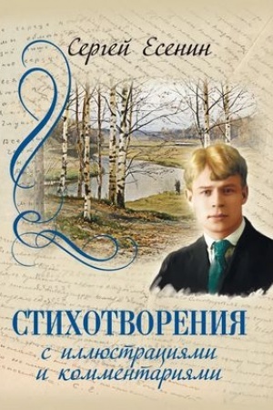 Cover: Stichotvoreniya s illyustraciyami i kommentariyami