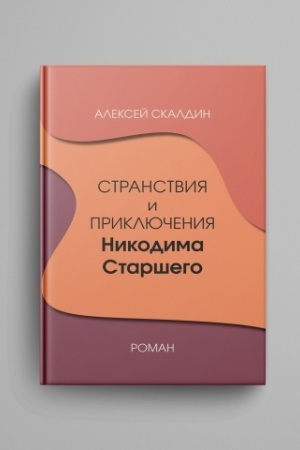 Обложка: Странствия и приключения Никодима Старшего