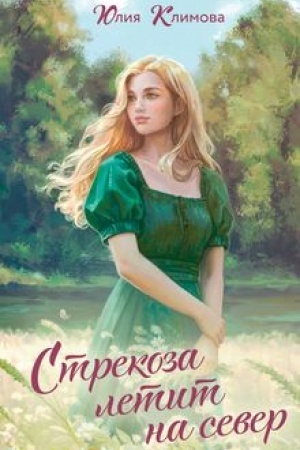Buchcover: Strekoza letit na sever