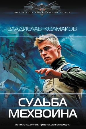 Обложка: Судьба мехвоина