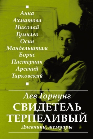 Cover: Svidetel′ terpelivyj... Dnevniki, memuary