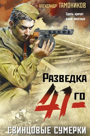 Buchcover: Svincovye sumerki