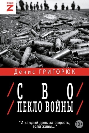 Buchcover: SVO. Peklo vojny