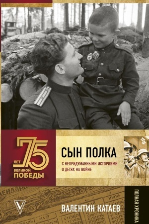 Buchcover: Syn polka. S nepridumannymi istorijami o detjach na vojne