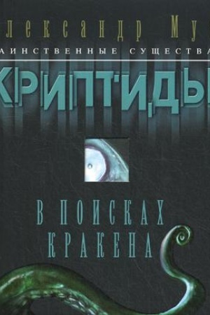 Обложка: Сын упавшей звезды: роман