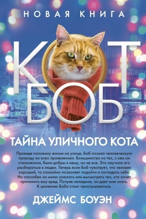 Обложка: Тайна уличного кота