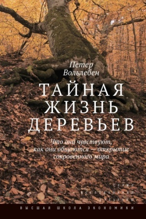 Обложка: Тайная жизнь деревьев. 6-е изд. Что они чувствуют, как они общаются — открытие сокровенного мира