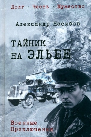 Buchcover: Tajnik na Ėl′be (12+)