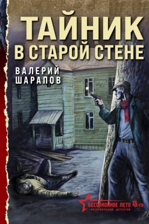 Обложка: Тайник в старой стене