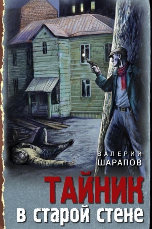 Обложка: Тайник в старой стене