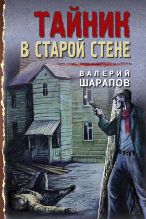 Cover: Tajnik v staroj stene