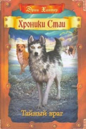 Обложка: Тайный враг