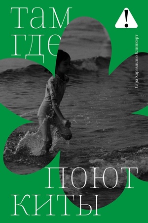 Buchcover: Tam, gde pojut kity