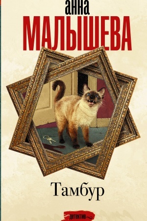 Buchcover: Tambur