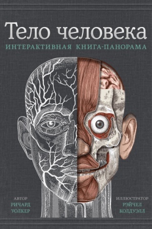 Cover: Telo cheloveka. Interaktivnaya kniga-panorama