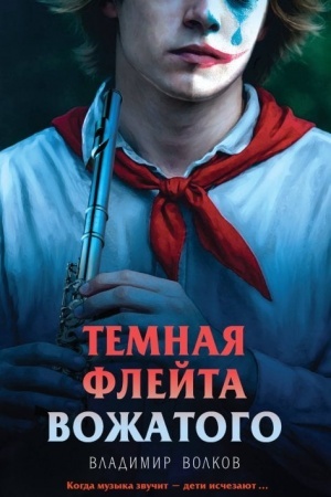 Buchcover: Temnaja flejta vožatogo