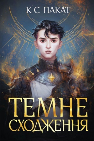 Buchcover: Temne schodžennja : roman