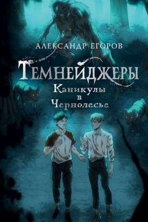 Обложка: Темнейджеры. Каникулы в Чернолесье