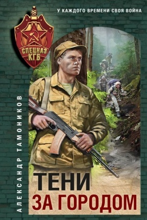 Buchcover: Teni za gorodom