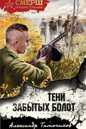 Buchcover: Teni zabytych bolot