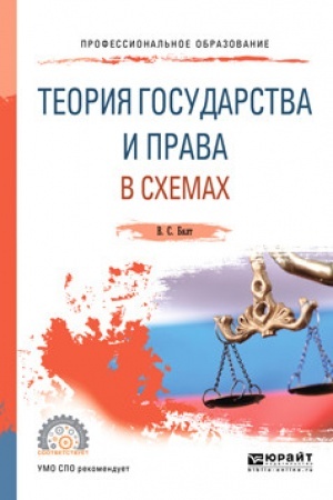 Cover: TEORIYA GOSUDARSTVA I PRAVA V SCHEMACH. Uchebnoe posobie dlya SPO