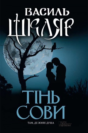 Buchcover: Tіn′ sovi