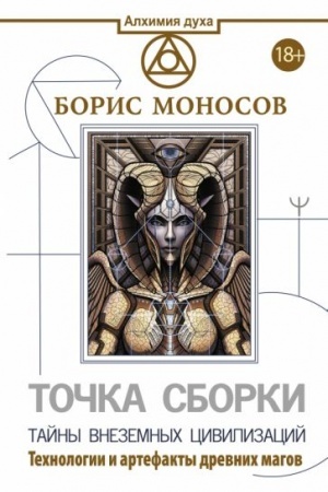 Buchcover: Točka sborki. Tajny vnezemnych civilizacij. Technologii i artefakty drevnich magov