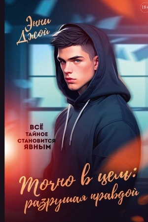 Обложка: Точно в цель: Разрушая правдой