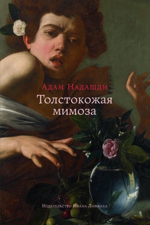 Buchcover: Tolstokožaja mimoza: Byt′ sčastlivym — ili normal′nym? Ėsse