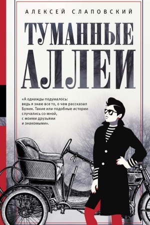 Buchcover: Tumannye allei