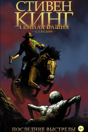 Cover: Tyomnaya bashnya: Strelok. Kniga 6. Poslednie vystrely