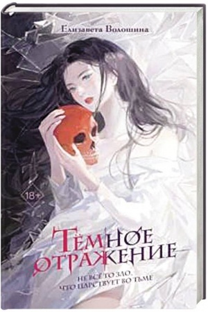 Обложка: Тёмное отражение
