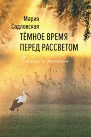 Обложка: Тёмное время перед рассветом