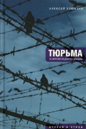 Обложка: Тюрьма и другие радости жизни