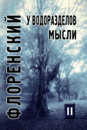 Buchcover: U vodorazdelov mysli (Čerty konkretnoj metafiziki). Tom 2