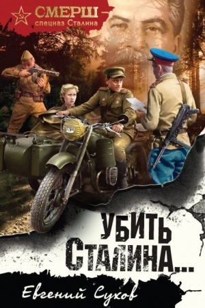 Buchcover: Ubit′ Stalina…