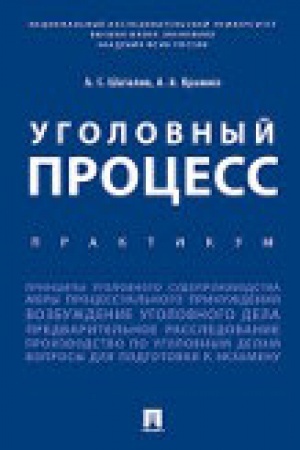 Cover: Ugolovnyj process. Praktikum.