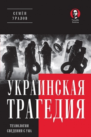 Buchcover: Ukrainskaja tragedija. Technologii svedenija s uma