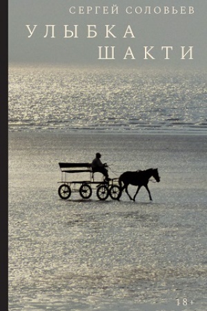 Buchcover: Ulybka Šakti: Roman