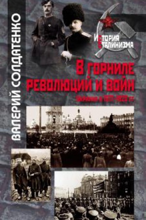 Обложка: В горниле революций и войн: Украина в 1917-1920 гг. историко-историографические эссе